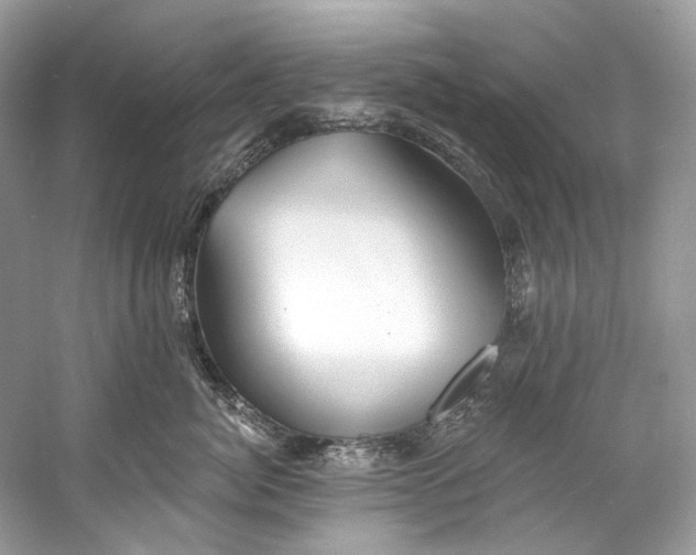 X0000060760764200512011513
