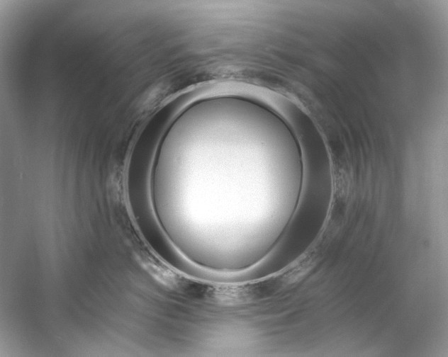 X0000060760766200512011513