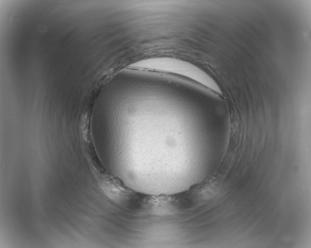 X0000060760767200512011513