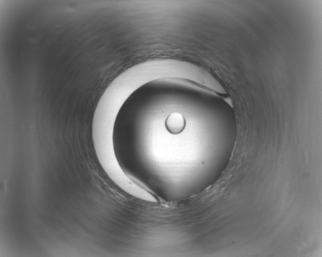 X0000060760768200512011514