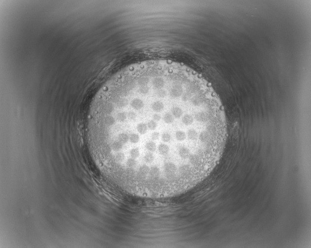 X0000060760772200512011513