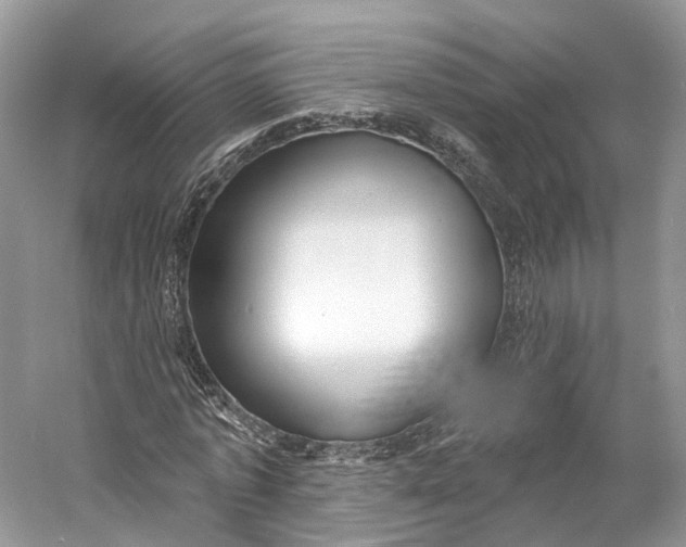 X0000060760773200512011513