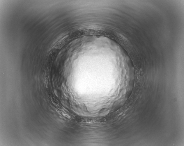 X0000060760774200512011513