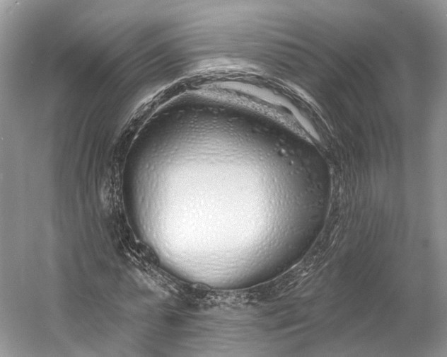 X0000060760775200512011513