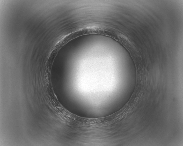 X0000060760776200512011513