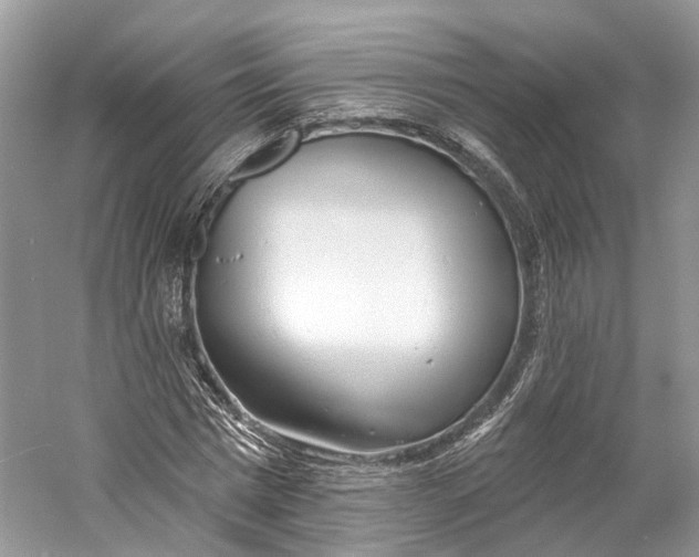 X0000060760777200512011513