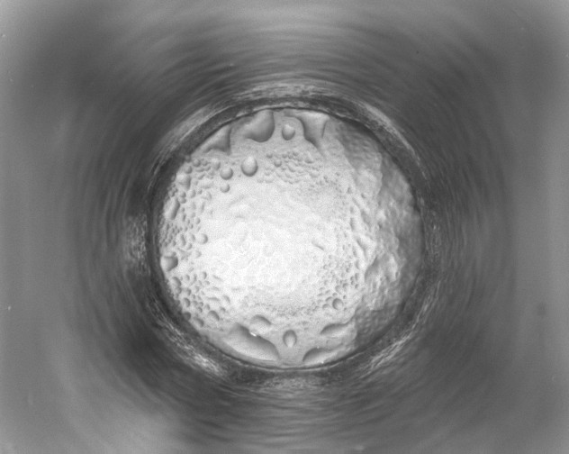 X0000060760778200512011513