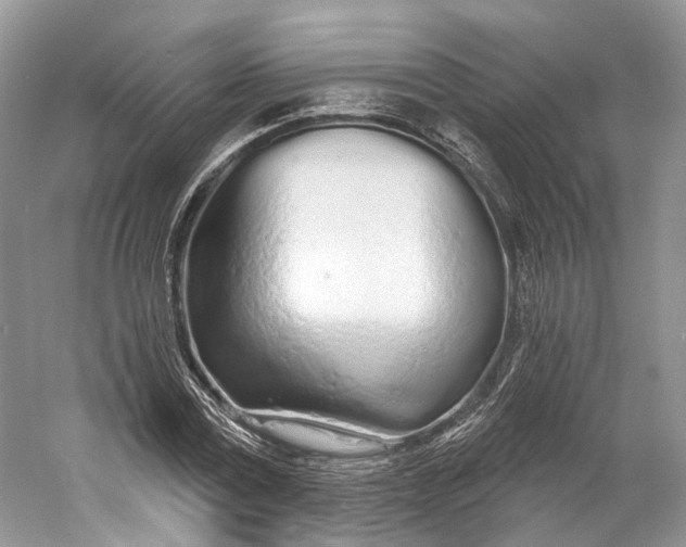 X0000060760779200512011512