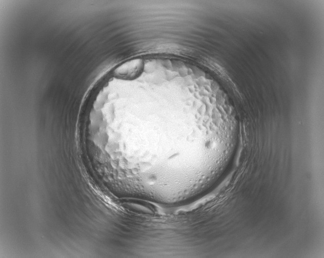 X0000060760780200512011512