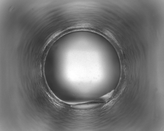 X0000060760781200512011512