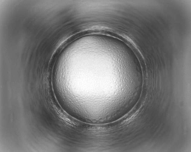 X0000060760783200512011512
