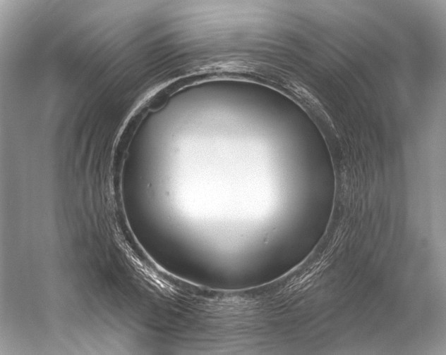 X0000060760784200512011512