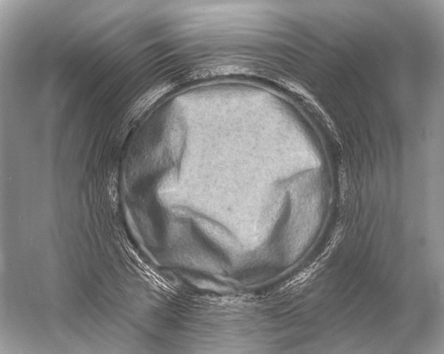 X0000060760785200512011512