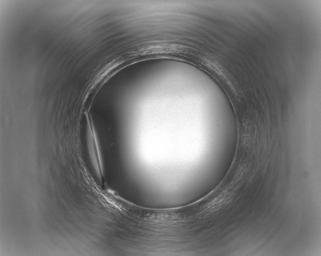 X0000060760786200512011512