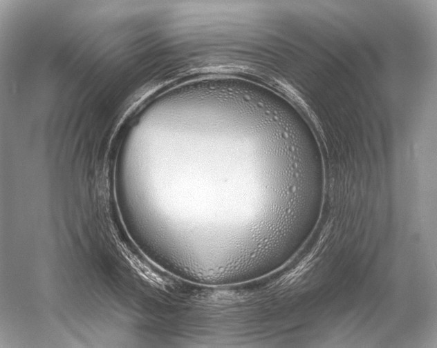 X0000060760787200512011512
