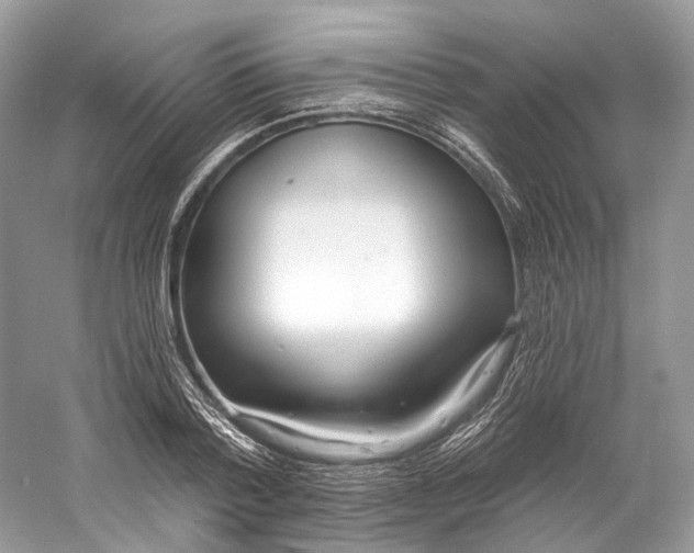 X0000060760788200512011512