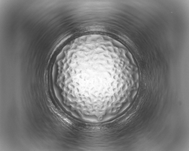 X0000060760790200512011512