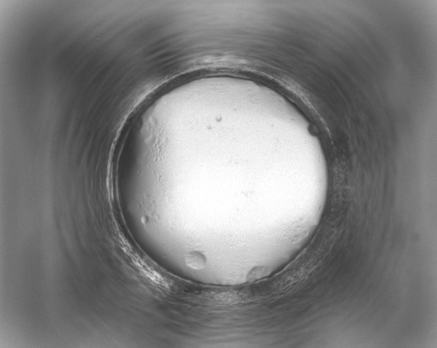 X0000060760791200512011512