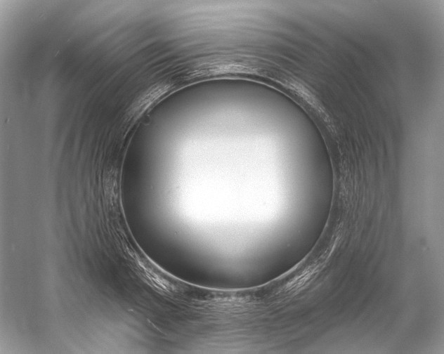 X0000060760793200512011512