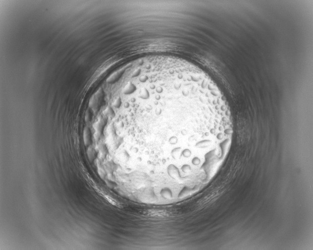 X0000060760794200512011512