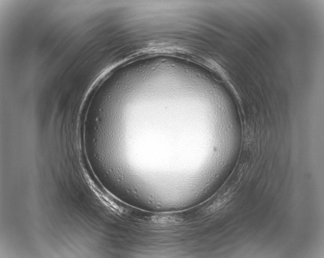 X0000060760795200512011512