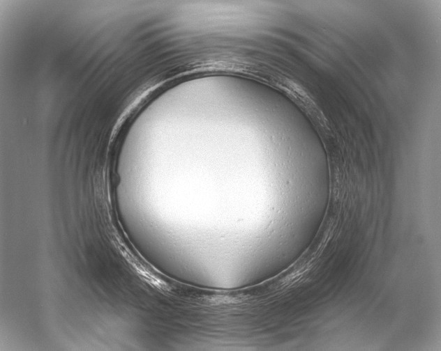 X0000060760796200512011512