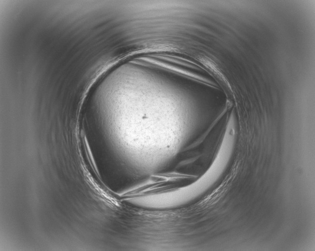 X0000060760797200512011512