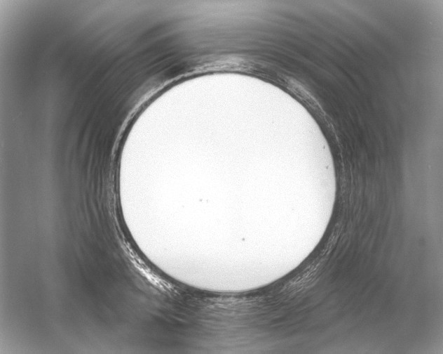 X0000060760800200512011512
