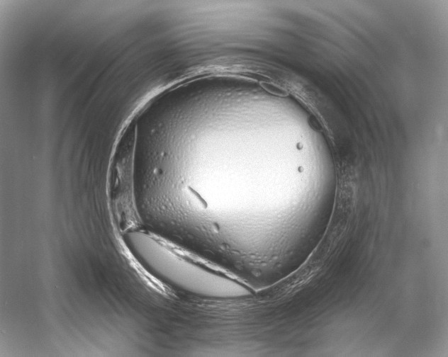 X0000060760803200512011512