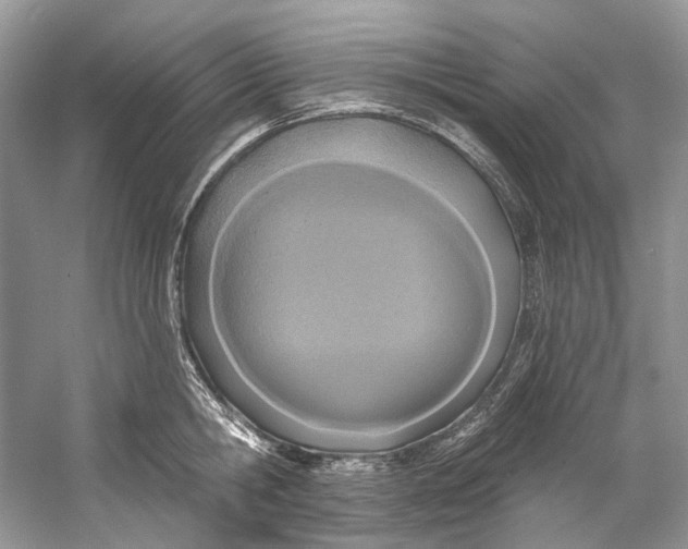 X0000060760806200512011512