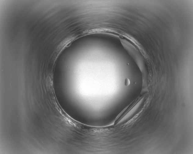 X0000060760809200512011512