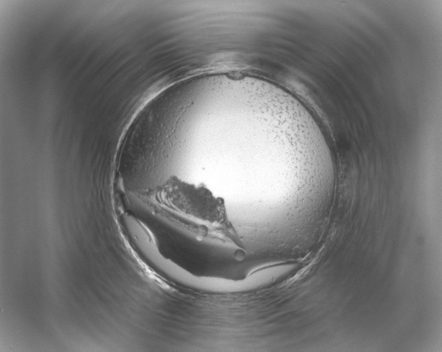 X0000060760810200512011512