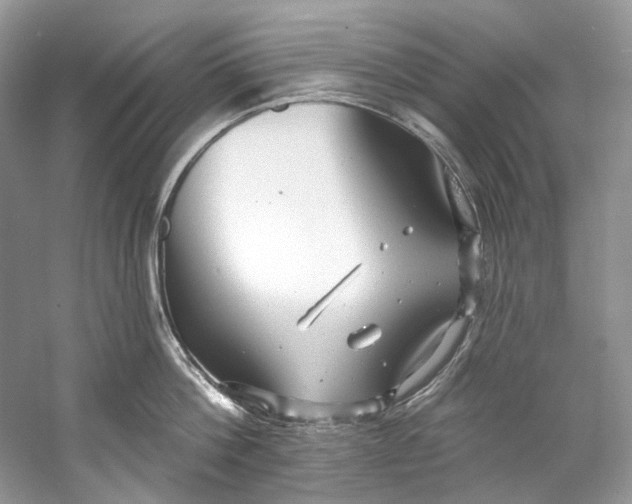 X0000060760812200512011512