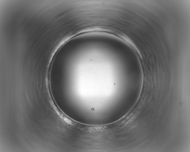 X0000060760813200512011512