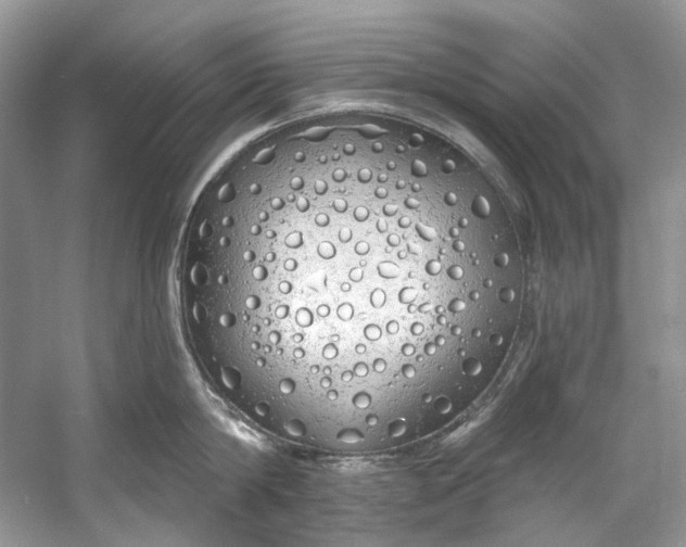X0000060760814200512011512
