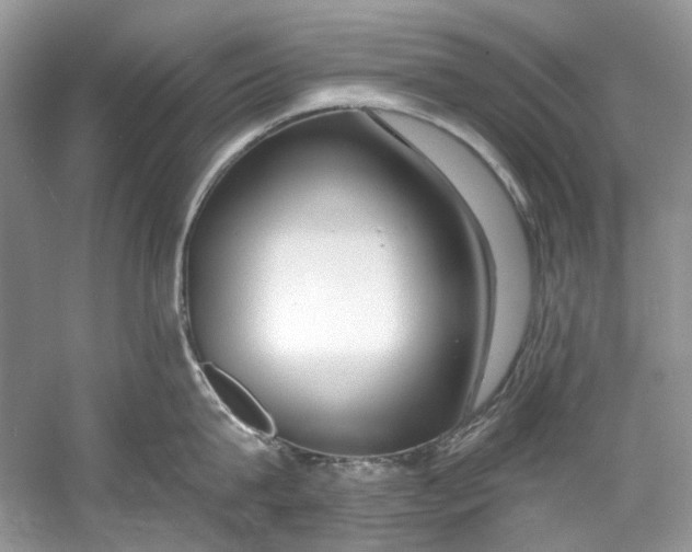 X0000060760815200512011512