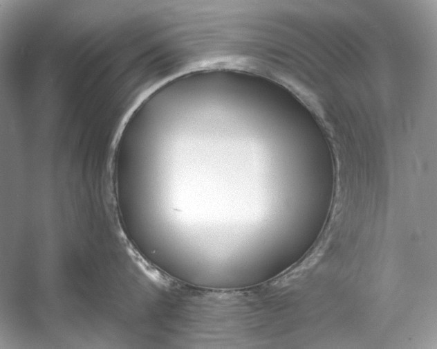 X0000060760816200512011512