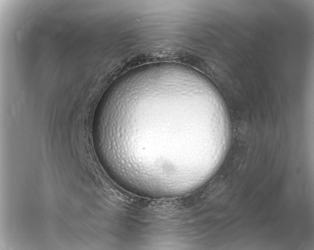 X0000060760817200512011511