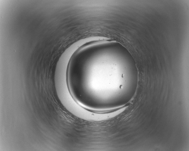 X0000060760818200512011511