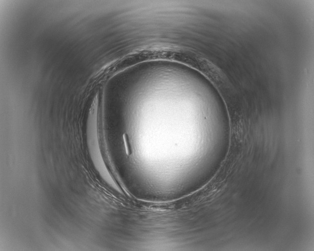 X0000060760821200512011511