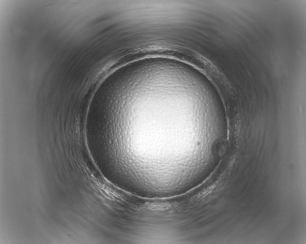X0000060760825200512011511
