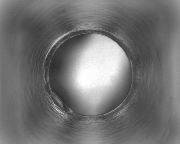 X0000060760830200512011511