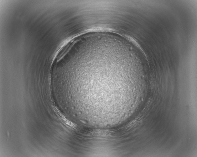X0000060760831200512011511