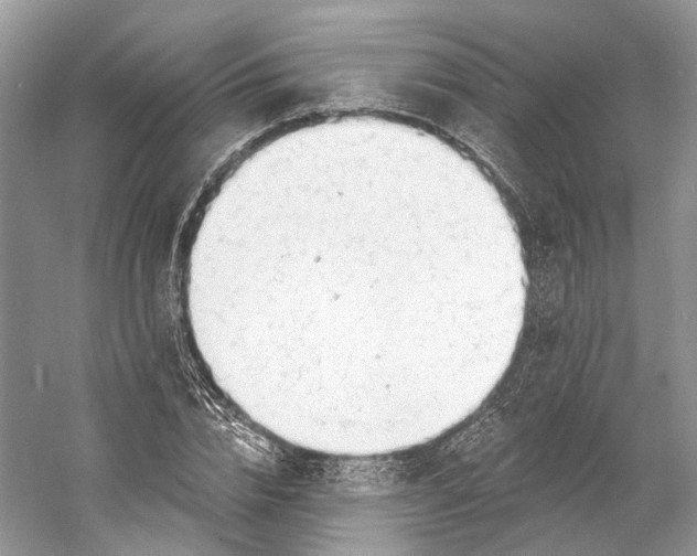 X0000060760832200512011511
