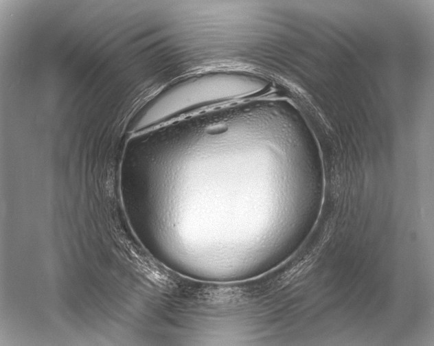 X0000060760833200512011511
