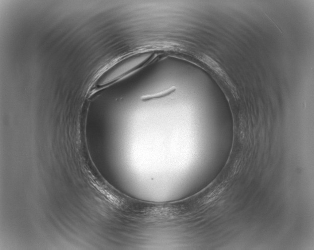 X0000060760834200512011511
