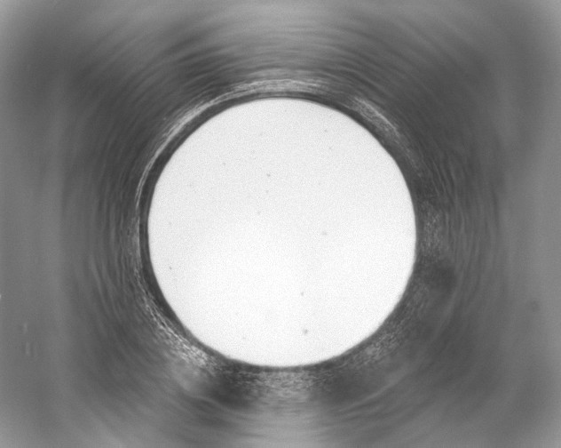 X0000060760836200512011511