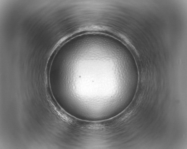 X0000060760837200512011511