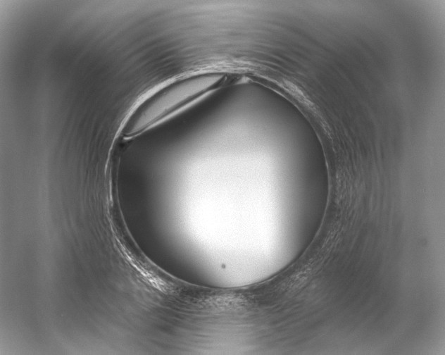 X0000060760838200512011511