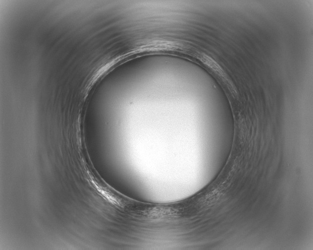 X0000060760842200512011511